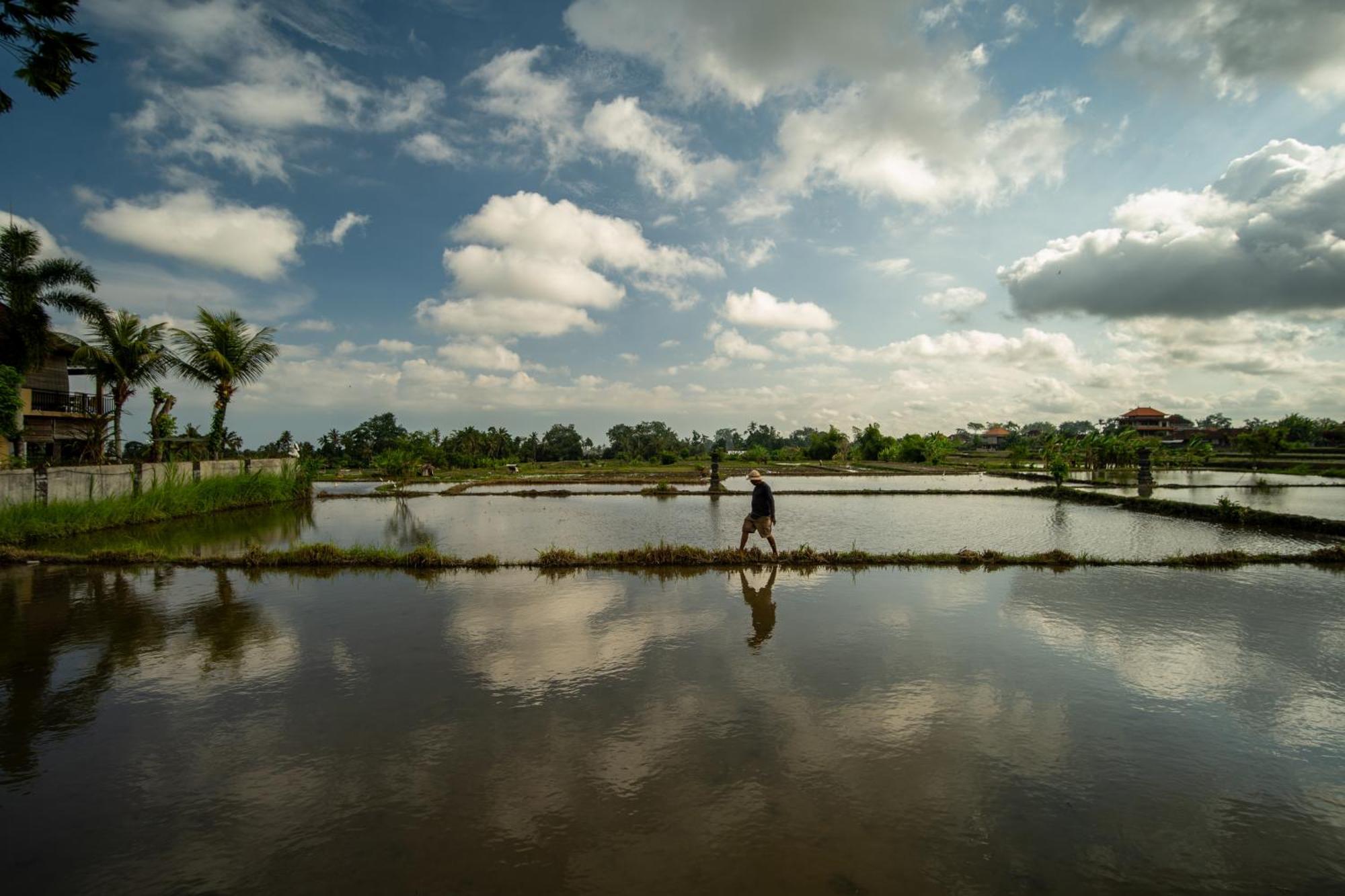 Kubu Sari Ubud 외부 사진